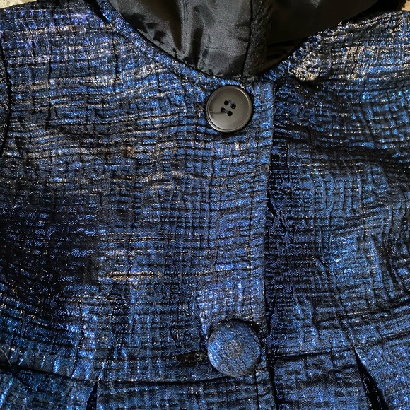 Blueberi Boulevard Dress Fancy Coat, size 3T - Picture 12 of 12